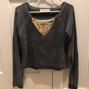 Grey Vintage Havana Sweatshirt with Sequins